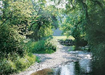 Woodland Lodges