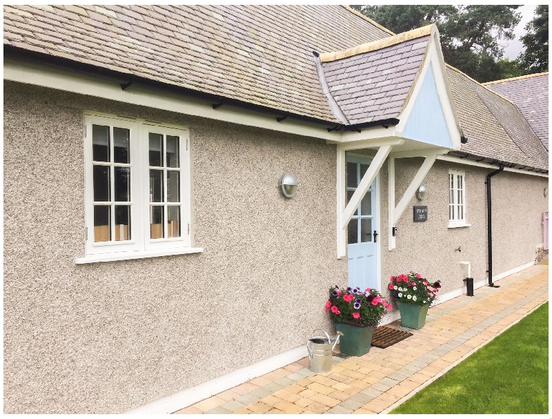 Click here for more about Bronwen Lodge