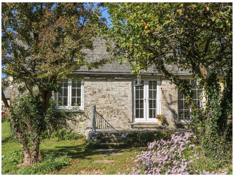 Self Catering Cottage Holidays at The Daffodil Shed