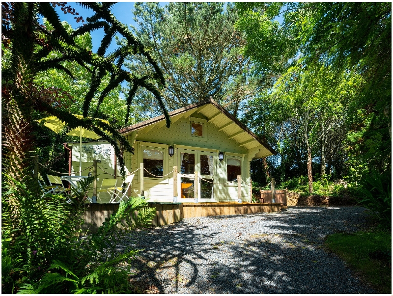 Self Catering Cottage Holidays at Woodland Cabin