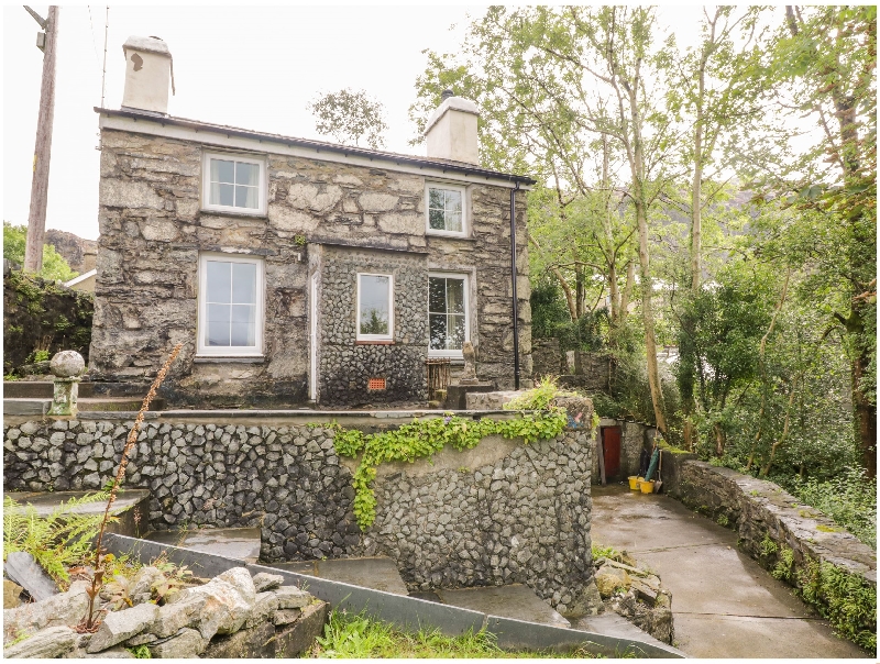 Self Catering Cottage Holidays at Brondderwen