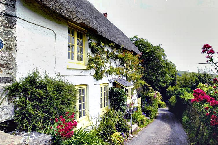 Devon - Holiday Cottage Rental